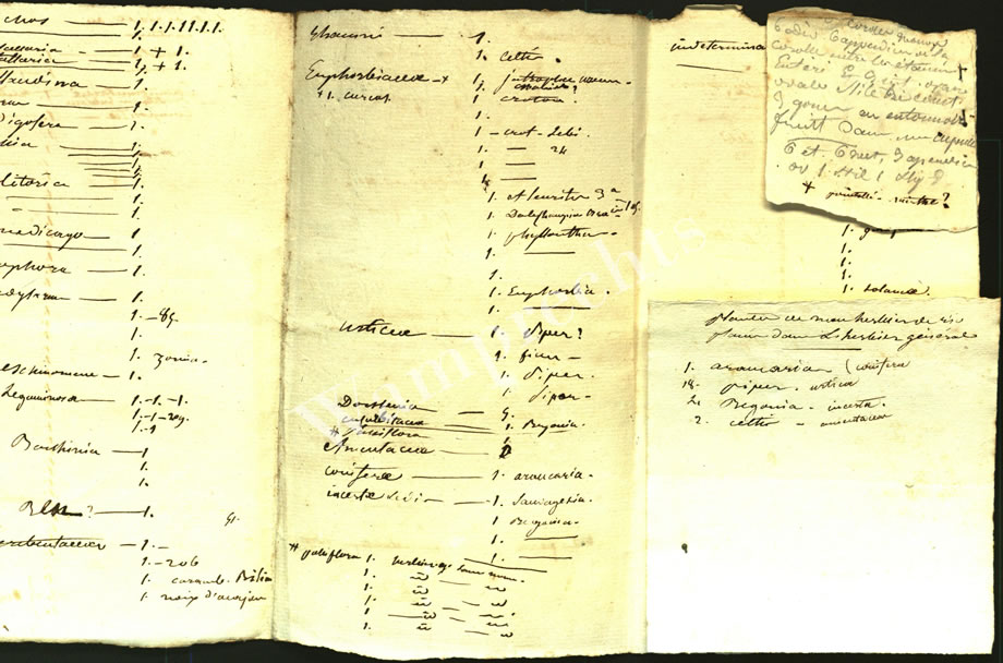 Scientific Notes of Gaudichaud Beaupré