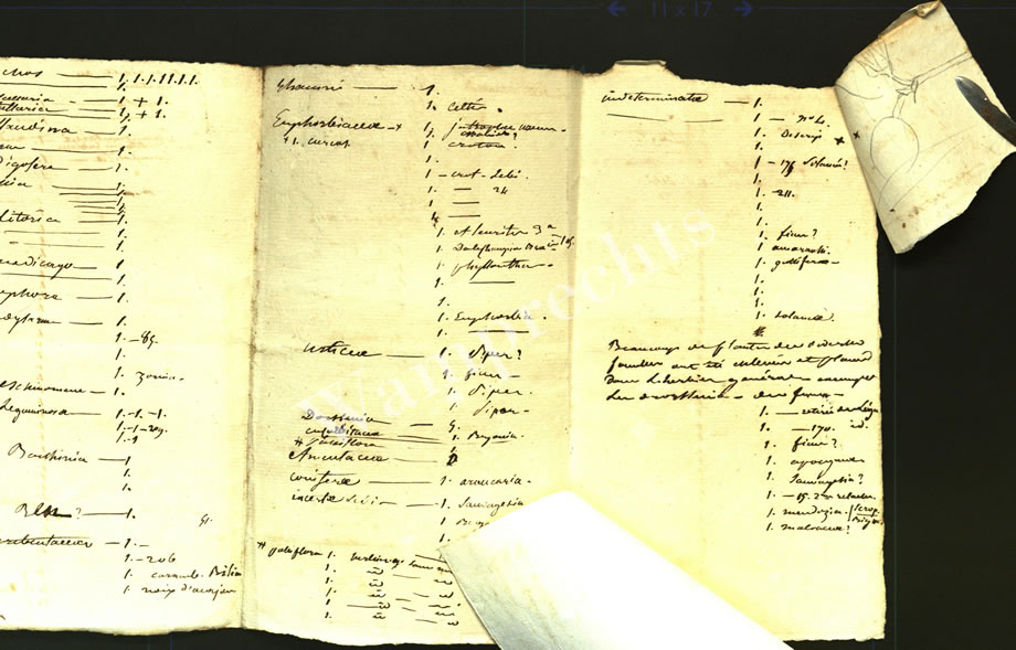 Scientific Notes of Gaudichaud Beaupré