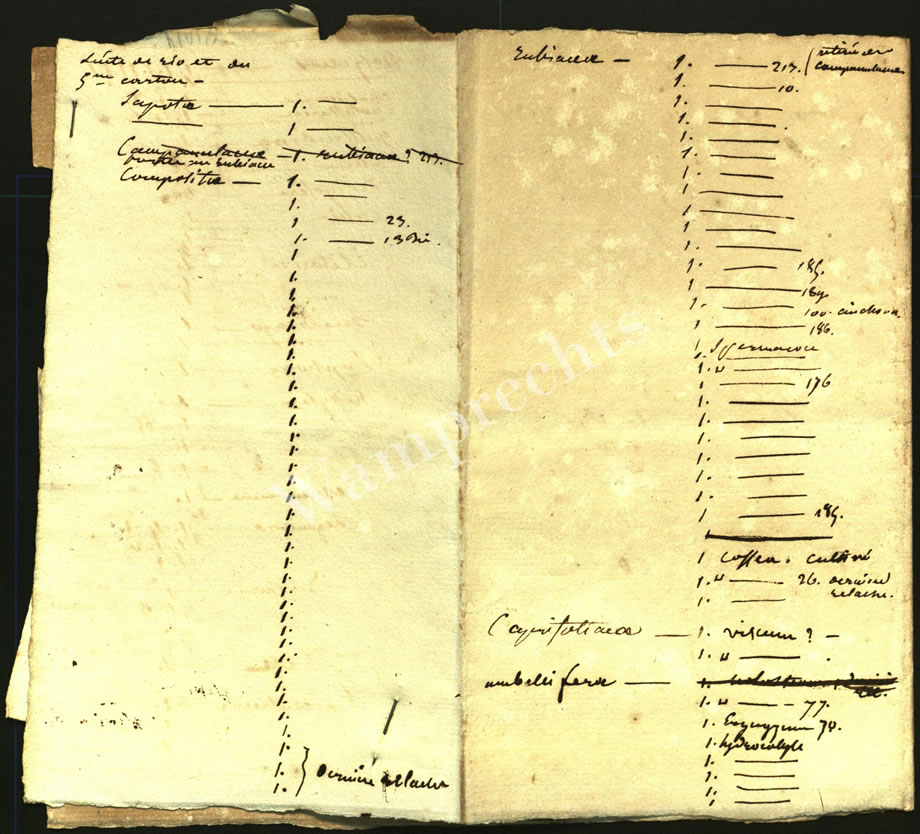 Scientific Notes of Gaudichaud Beaupré