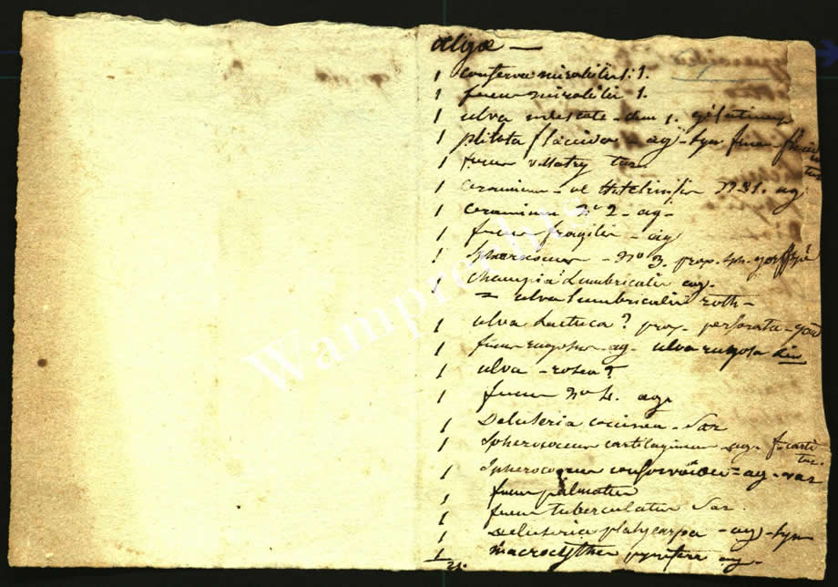Scientific Notes of Gaudichaud Beaupré