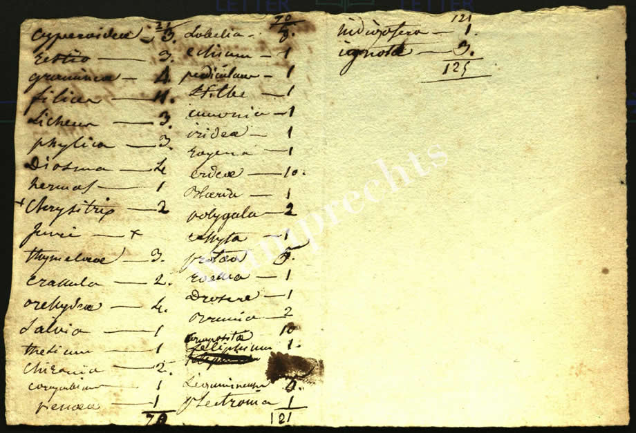 Scientific Notes of Gaudichaud Beaupré
