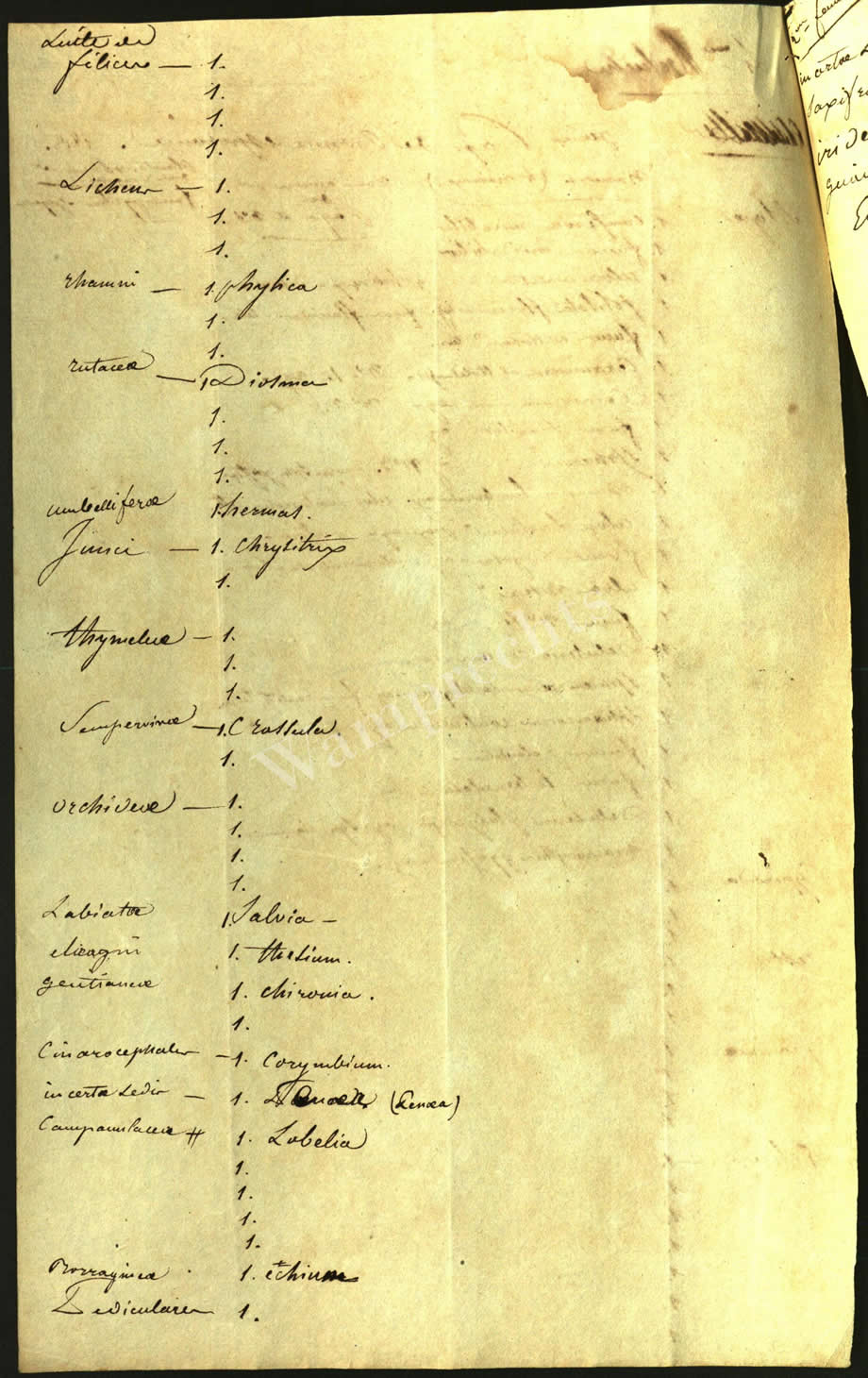 Scientific Notes of Gaudichaud Beaupré
