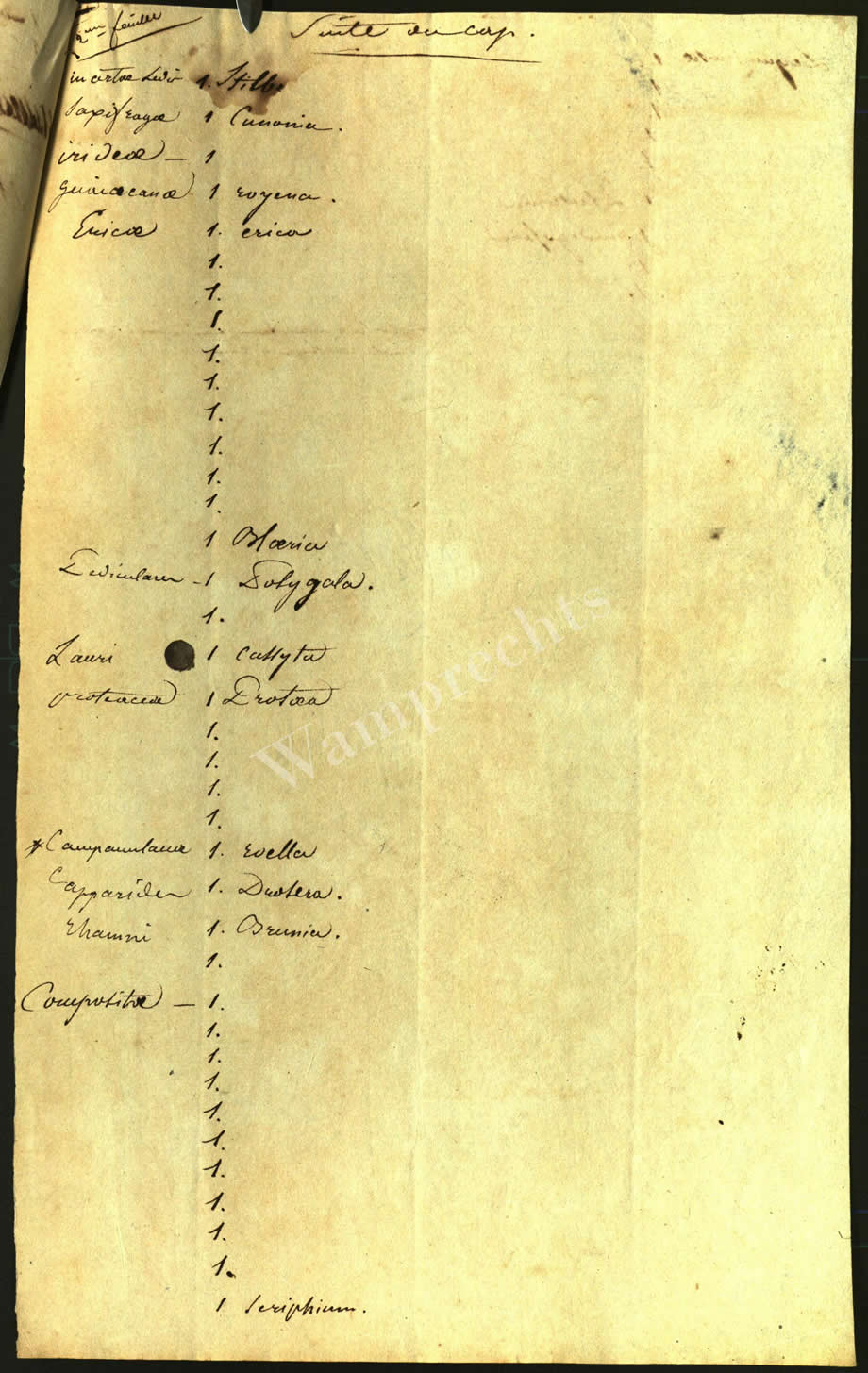 Scientific Notes of Gaudichaud Beaupré