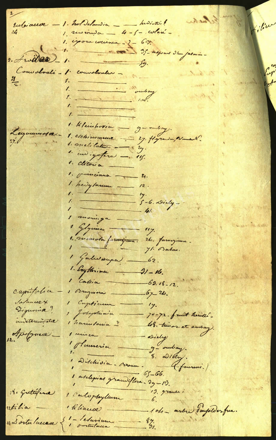 Scientific Notes of Gaudichaud Beaupré