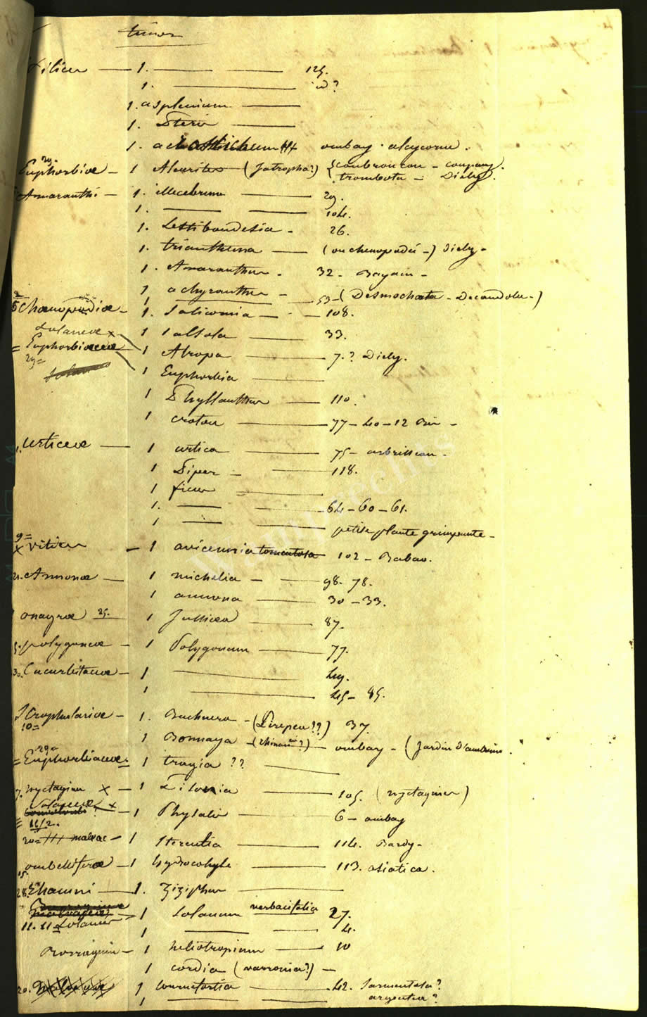 Scientific Notes of Gaudichaud Beaupré