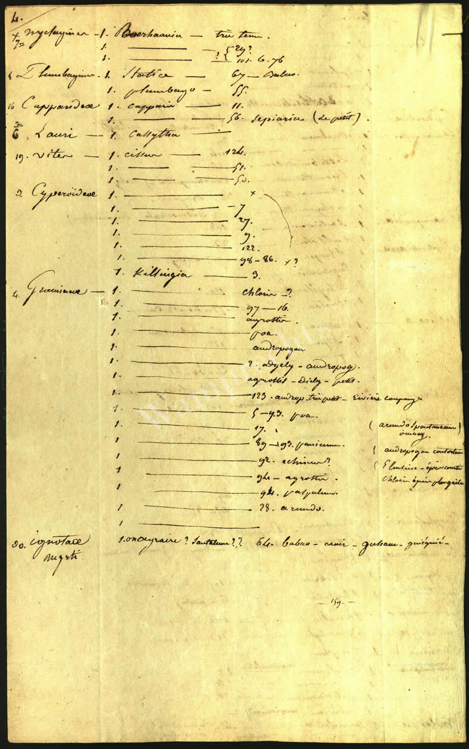 Scientific Notes of Gaudichaud Beaupré
