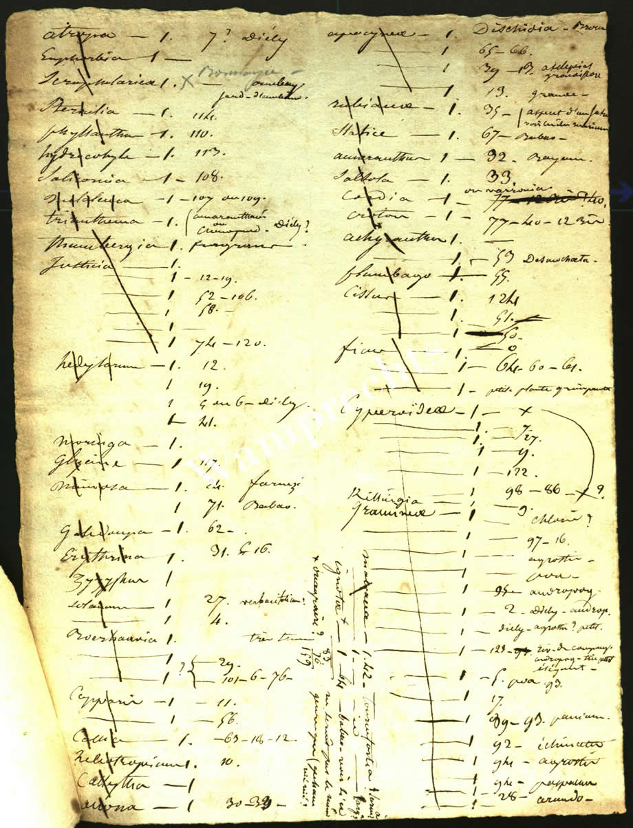 Scientific Notes of Gaudichaud Beaupré