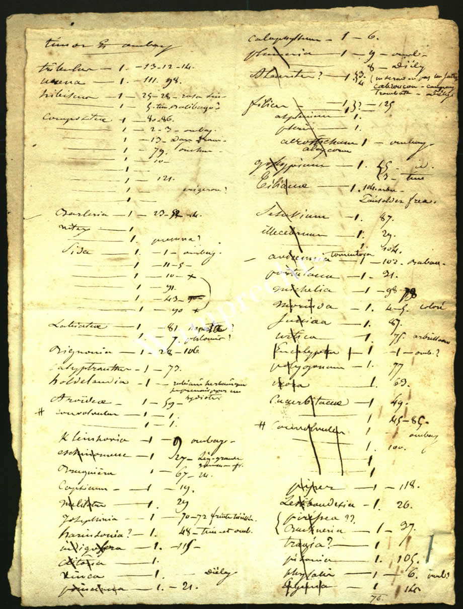 Scientific Notes of Gaudichaud Beaupré