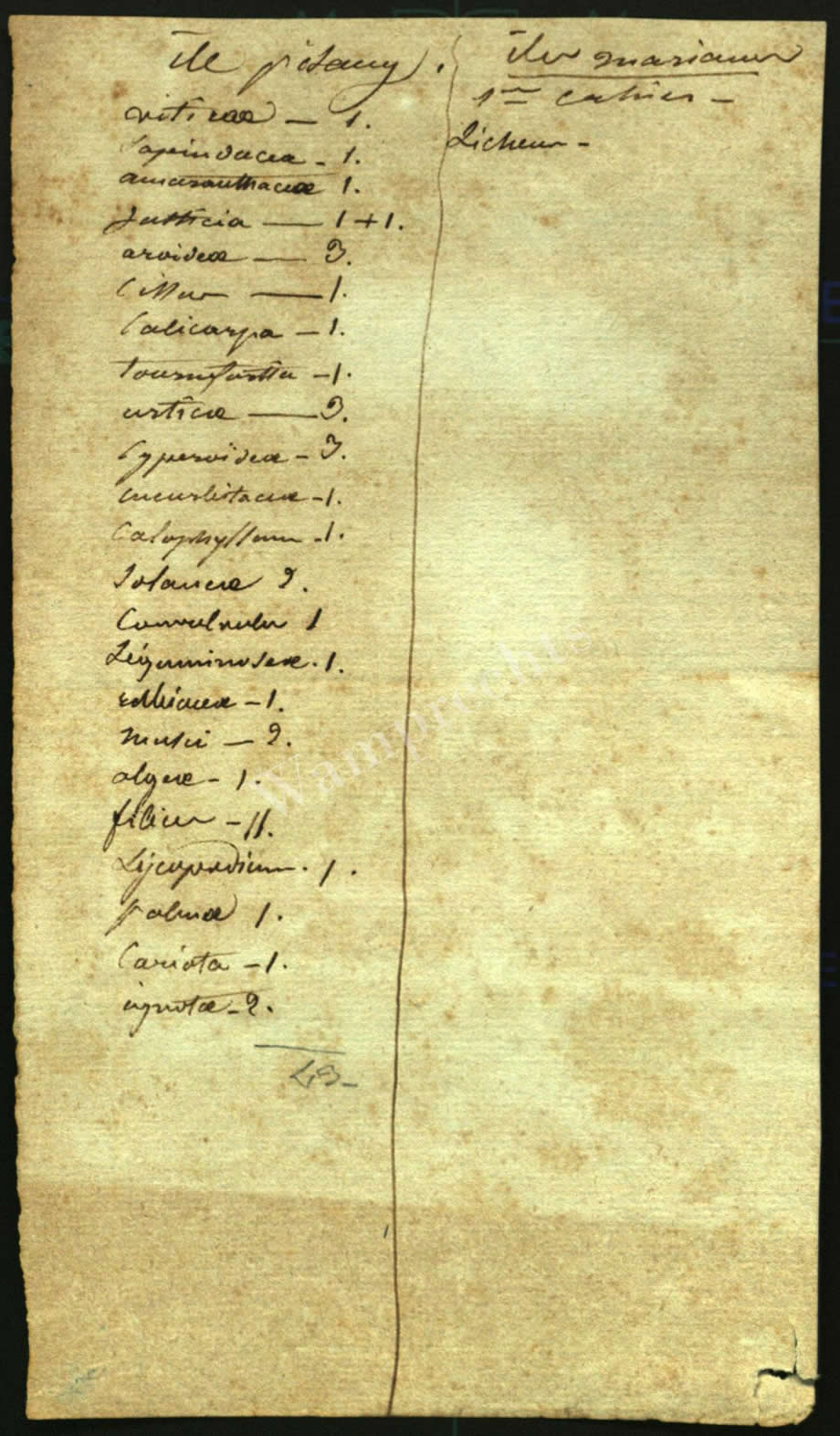 Scientific Notes of Gaudichaud Beaupré