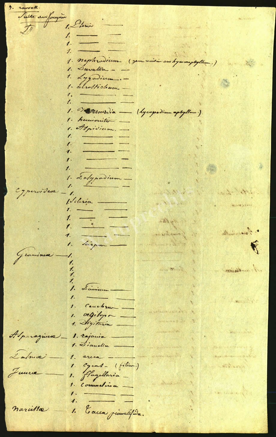 Scientific Notes of Gaudichaud Beaupré