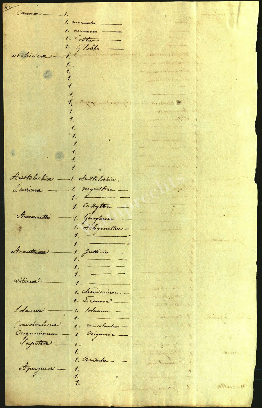 Scientific Notes of Gaudichaud Beaupré