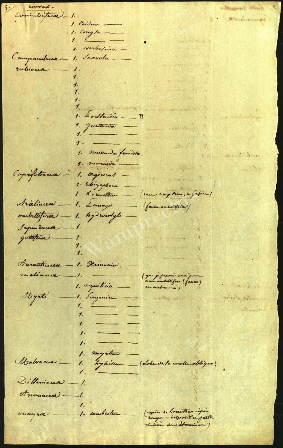 Scientific Notes of Gaudichaud Beaupré