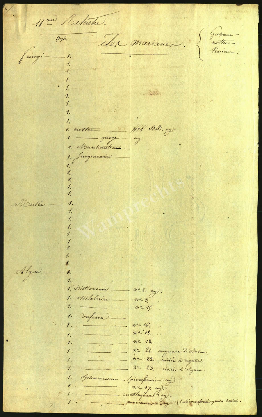 Scientific Notes of Gaudichaud Beaupré