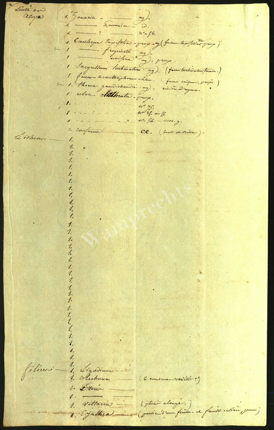 Scientific Notes of Gaudichaud Beaupré