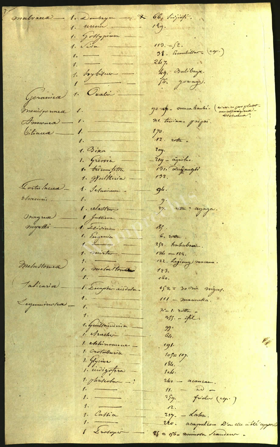 Scientific Notes of Gaudichaud Beaupré