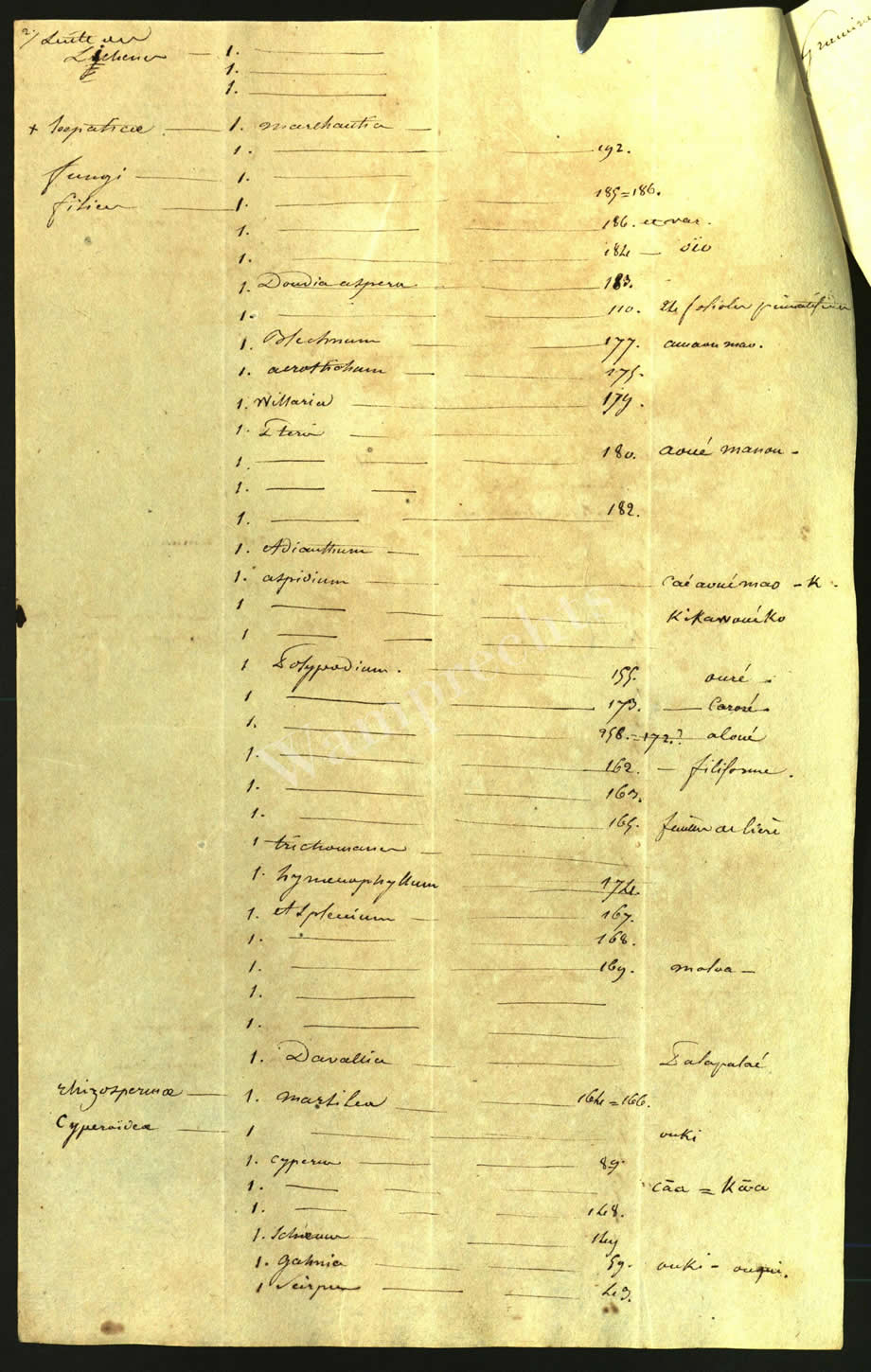 Scientific Notes of Gaudichaud Beaupré