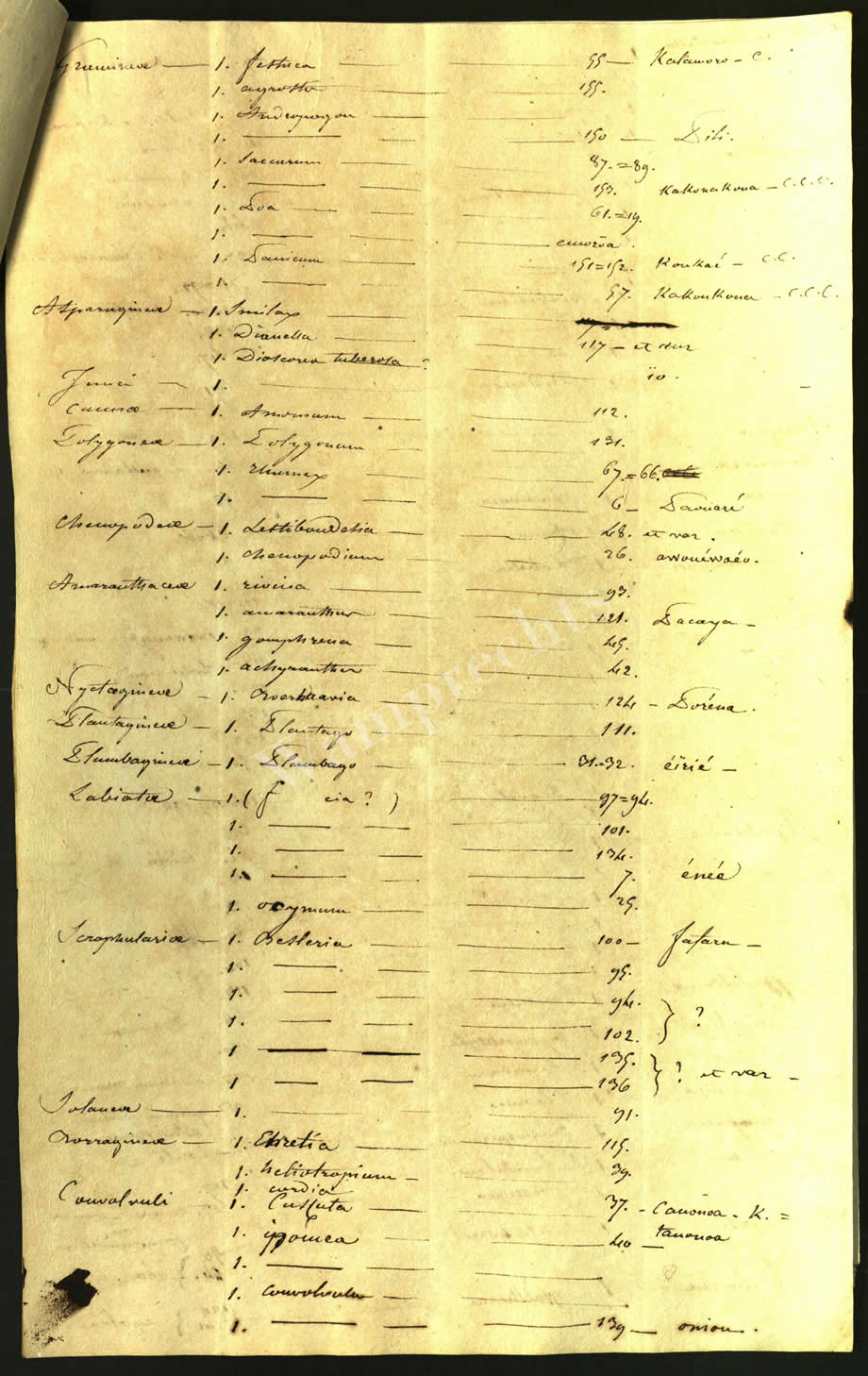Scientific Notes of Gaudichaud Beaupré