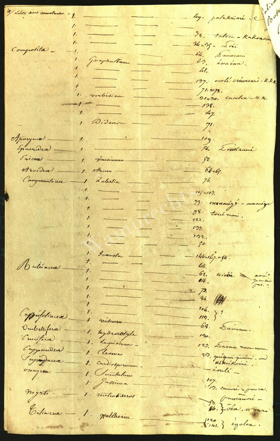Scientific Notes of Gaudichaud Beaupré