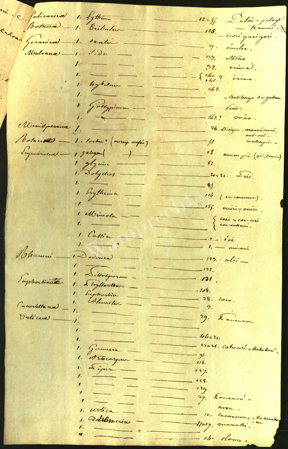 Scientific Notes of Gaudichaud Beaupré