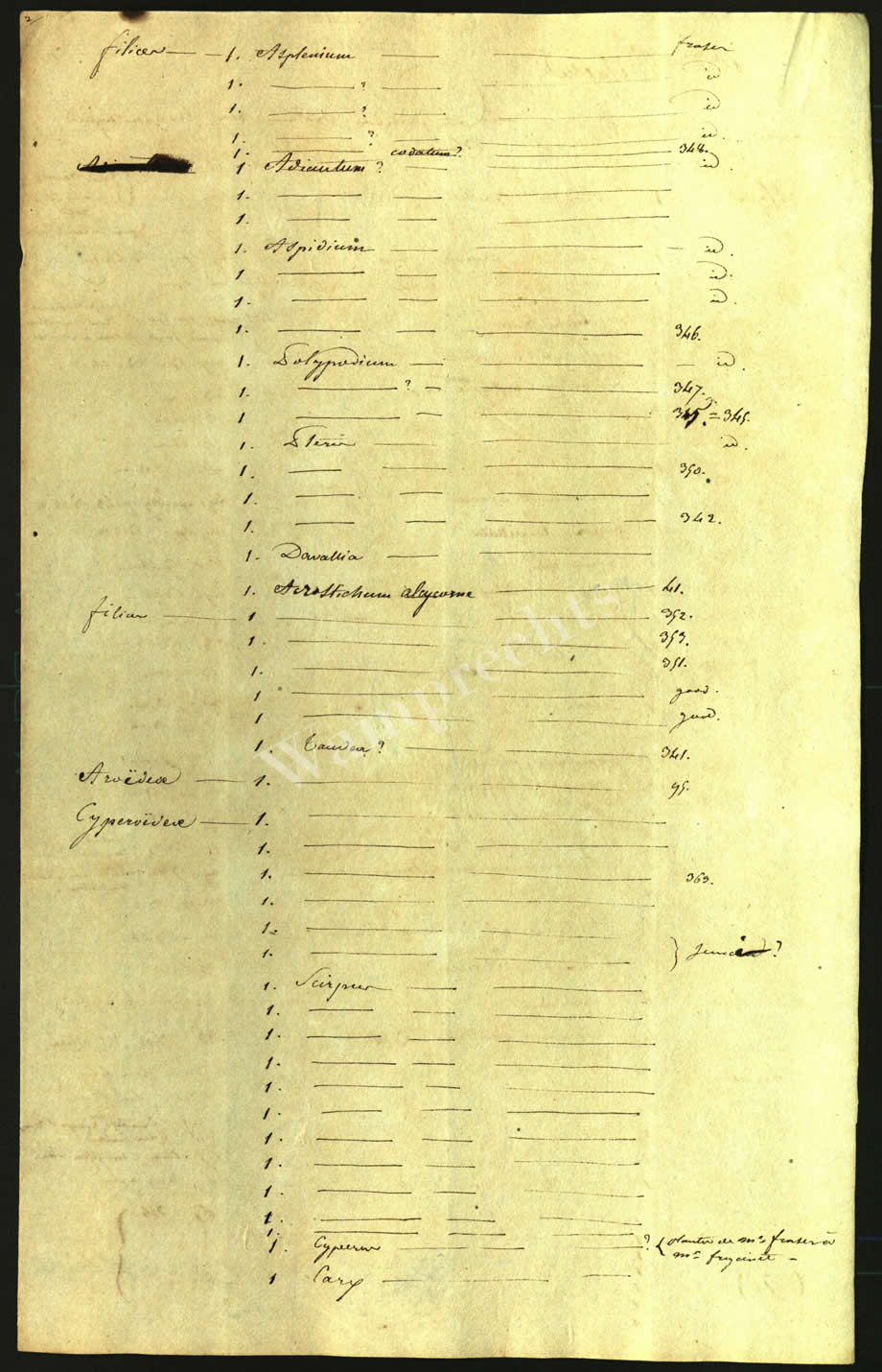Scientific Notes of Gaudichaud Beaupré