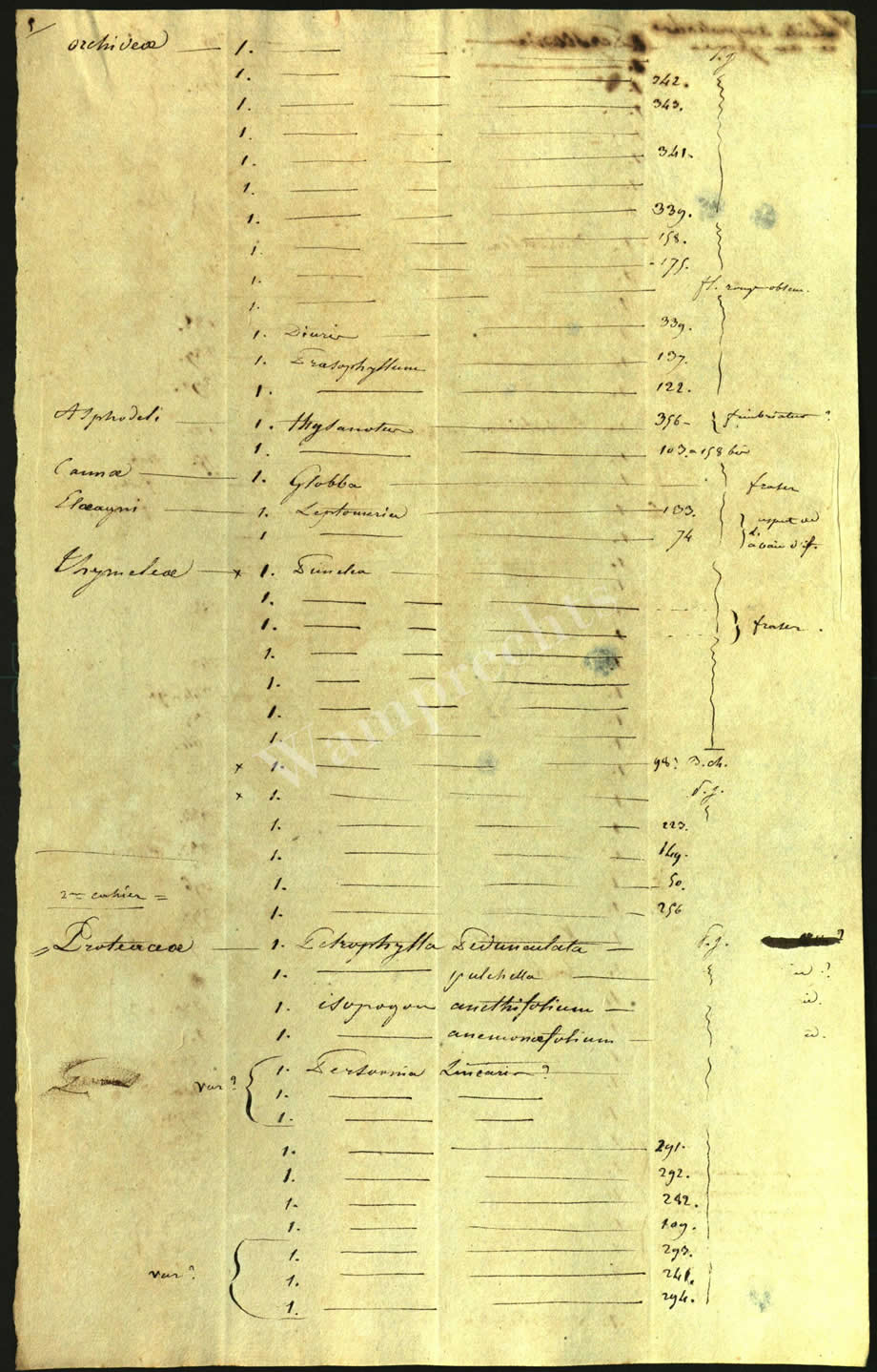 Scientific Notes of Gaudichaud Beaupré