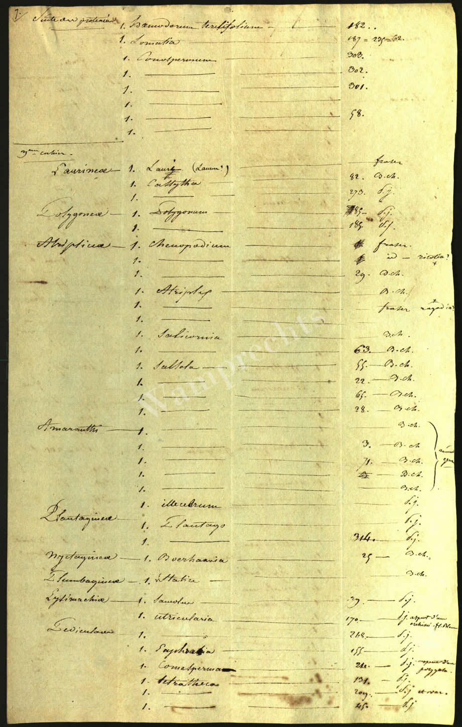 Scientific Notes of Gaudichaud Beaupré