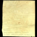 Scientific Notes of Gaudichaud Beaupré